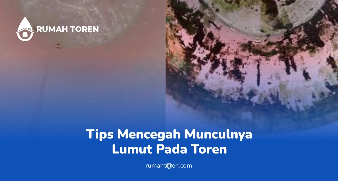 Mencegah Lumut