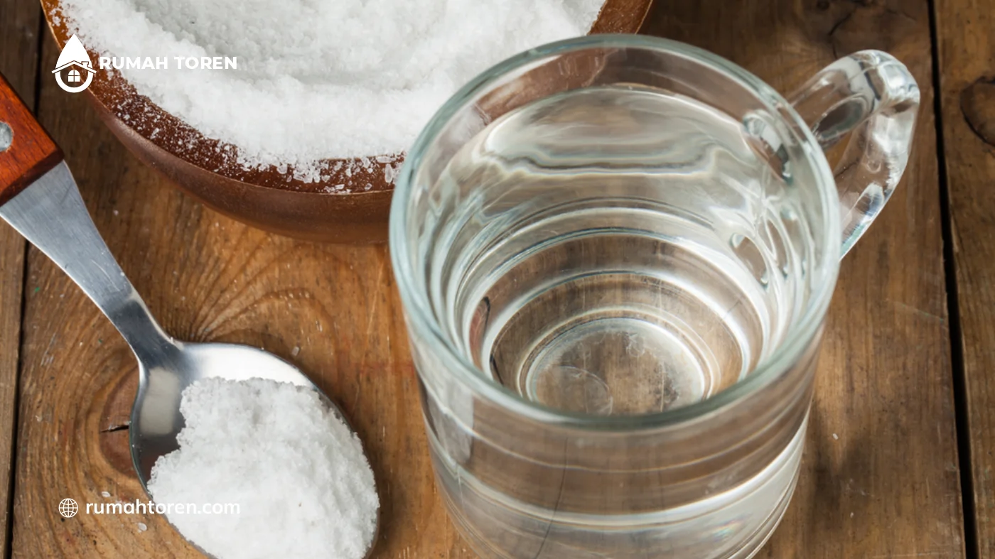 Berbagai Jenis Bahan Pembersih Alami untuk Kuras Toren