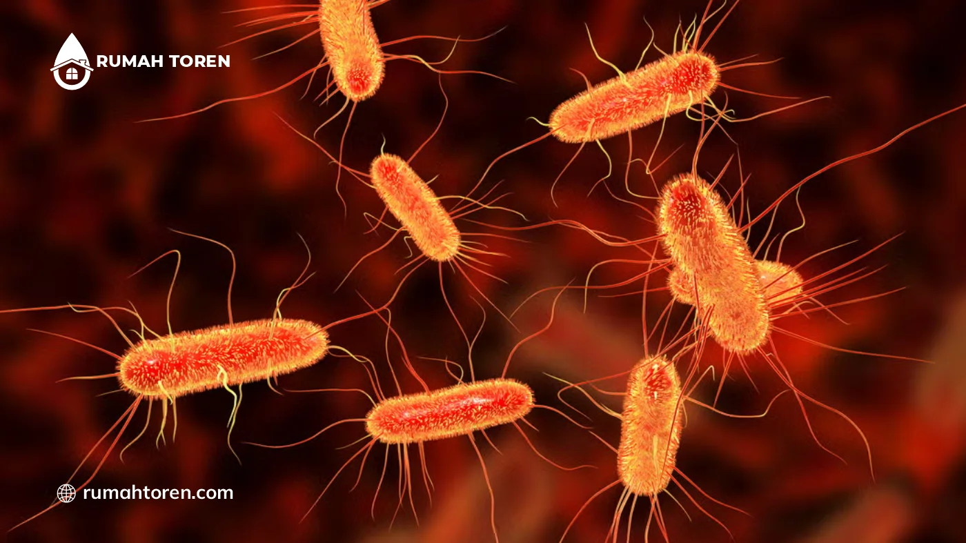 Apa Itu Bakteri Coliform dan Berbagai Bahayanya