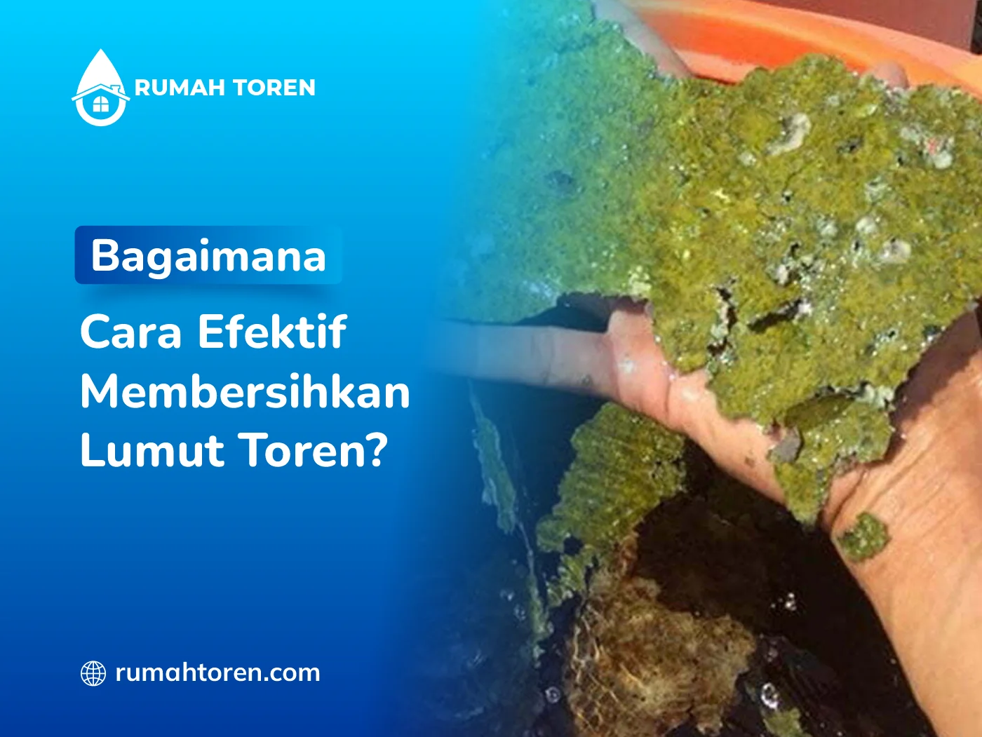 Bagaimana Cara Efektif Membersihkan Lumut Toren?
