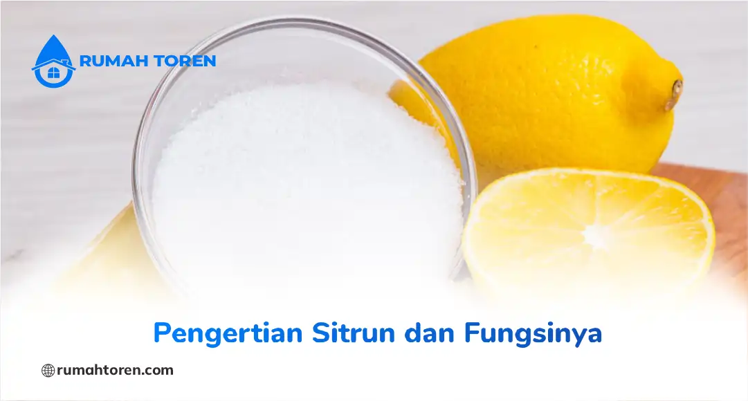Pengertian Sitrun dan Fungsinya