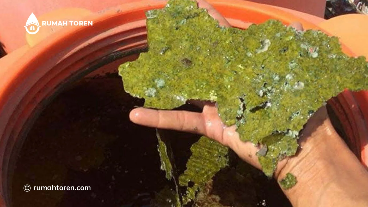 Apa Pengaruh Endapan Toren pada Kinerja Mesin?