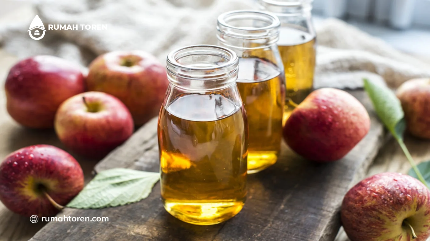 Berbagai Bahan Alami Alternatif Selain Sitrun untuk Bersihkan Toren