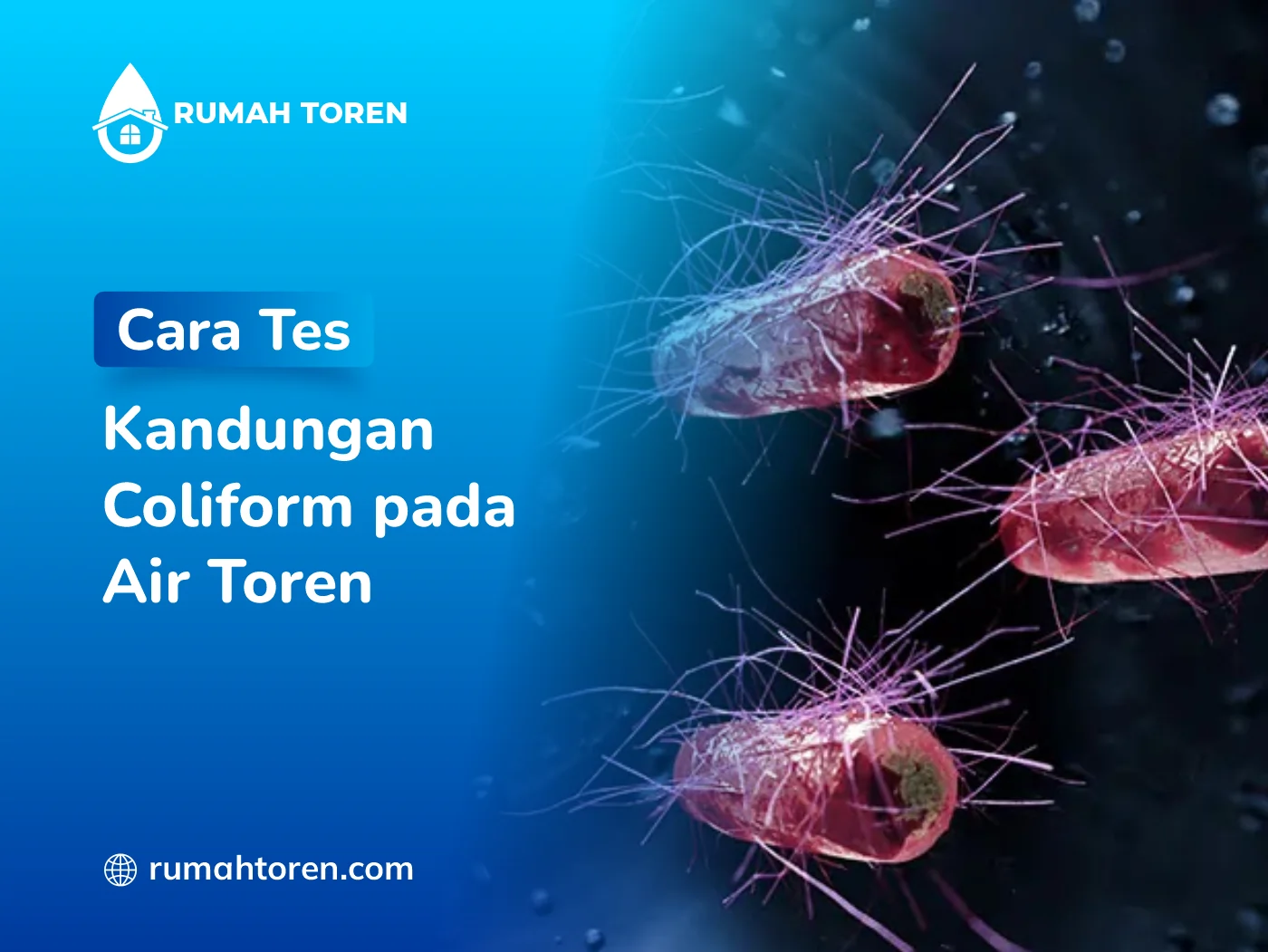 Cara Tes Kandungan Coliform pada Air Toren