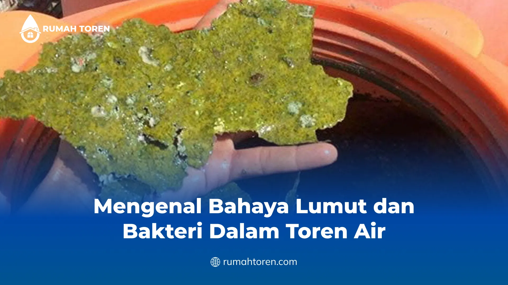 Mengenal Bahaya Lumut dan Bakteri Dalam Toren Air