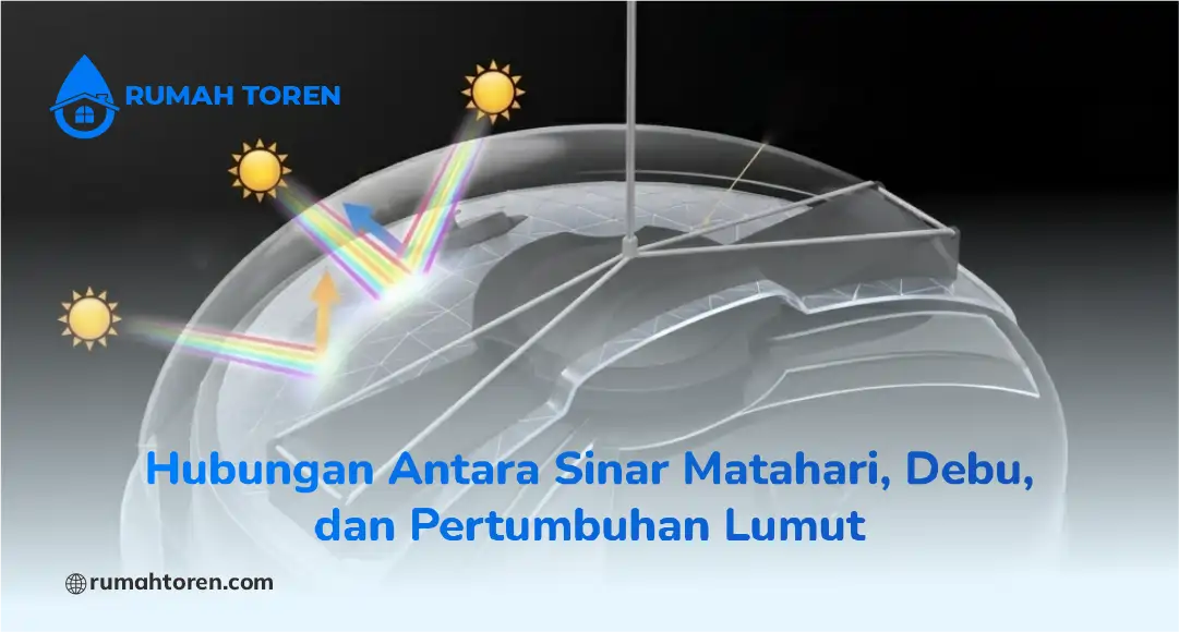 Hubungan Antara Sinar Matahari, Debu, dan Pertumbuhan Lumut