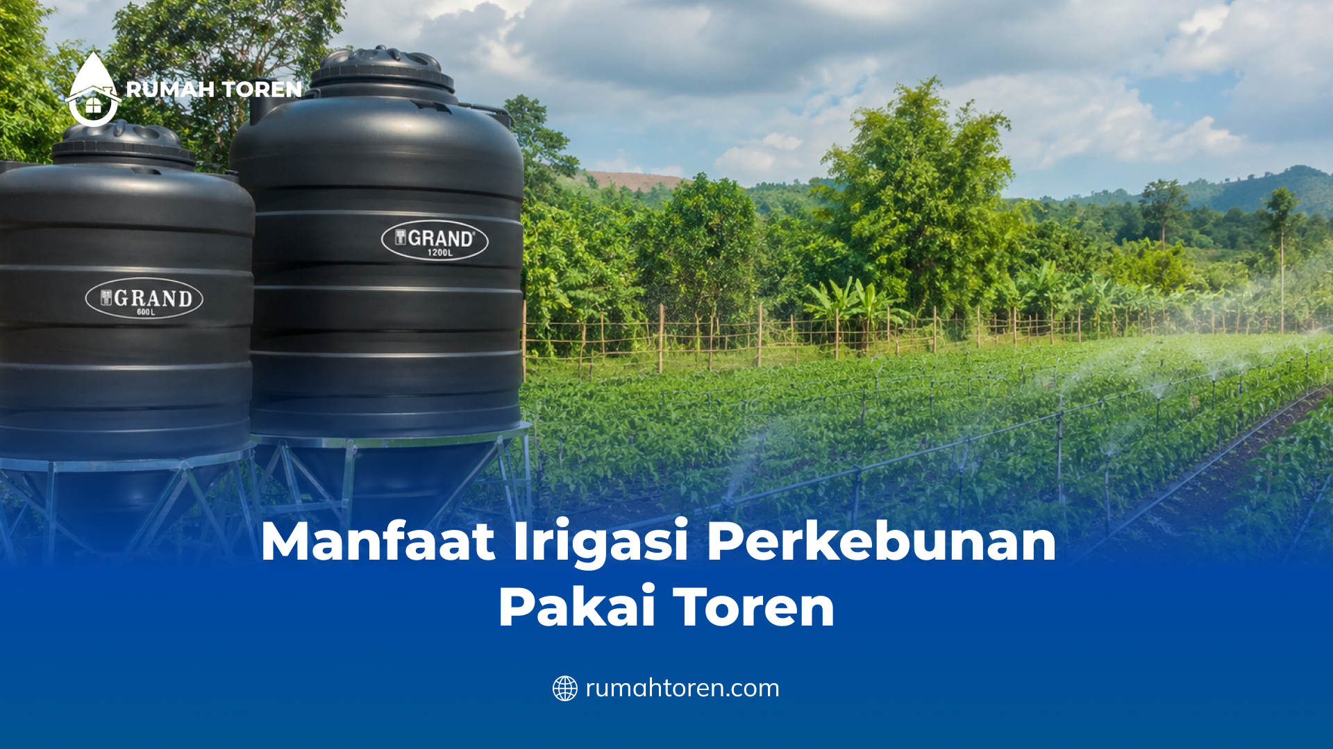 Manfaat Irigasi Perkebunan Pakai Toren