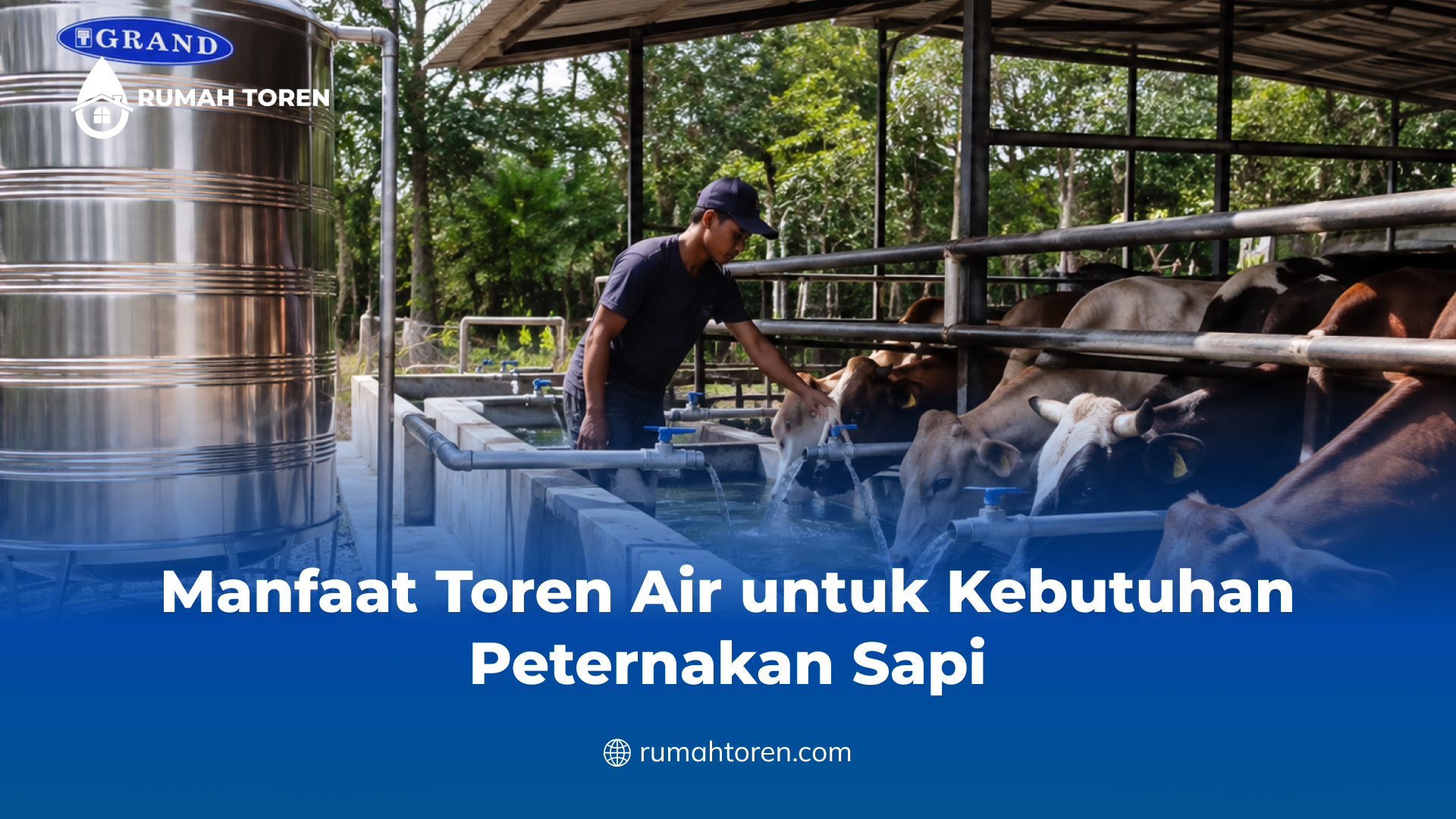 Manfaat Toren Air untuk Kebutuhan Peternakan Sapi