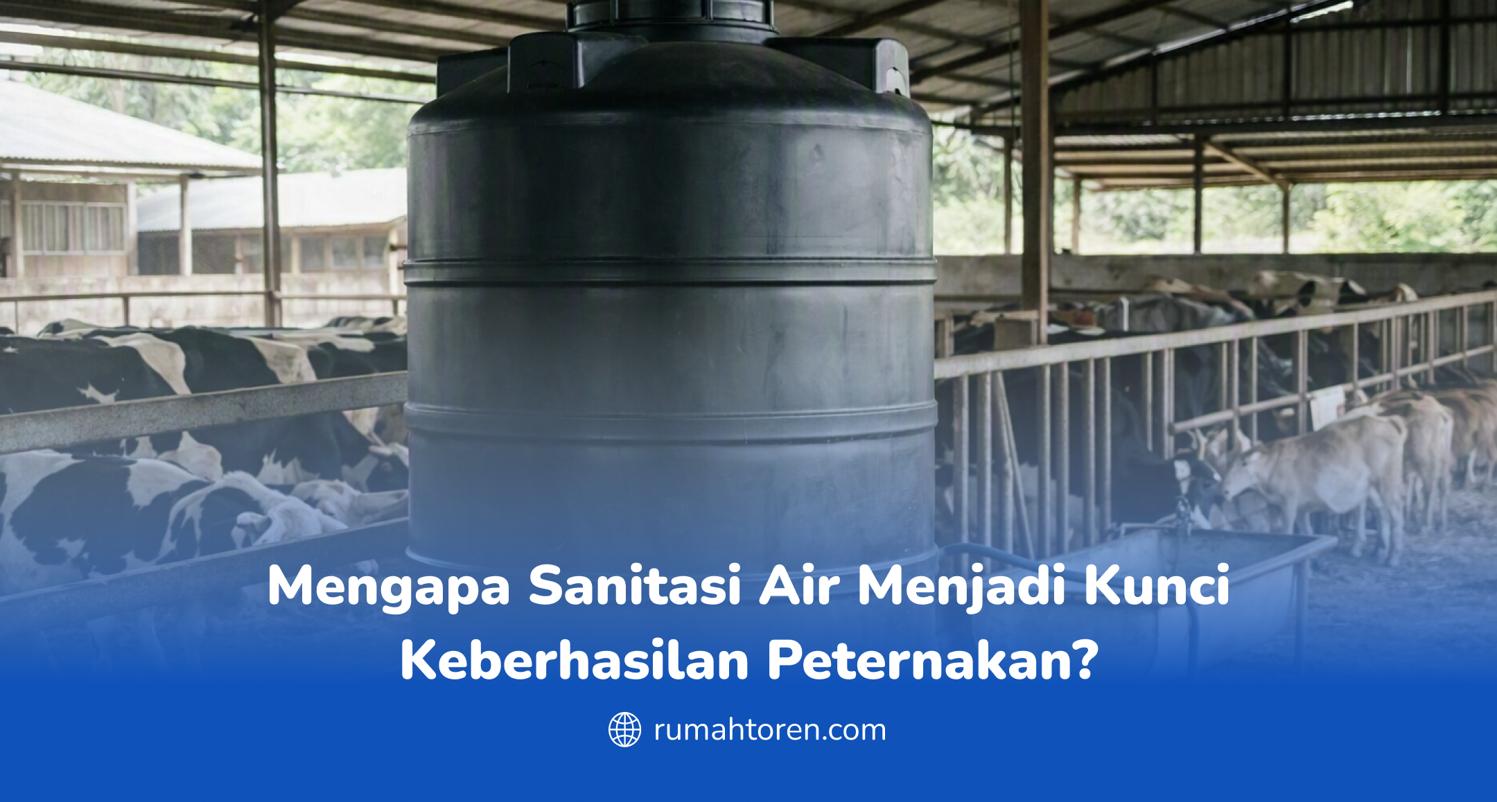 Mengapa Sanitasi Air Menjadi Kunci Keberhasilan Peternakan?